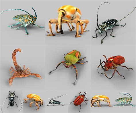 bug 3d porn|3d Insect Porn Videos .